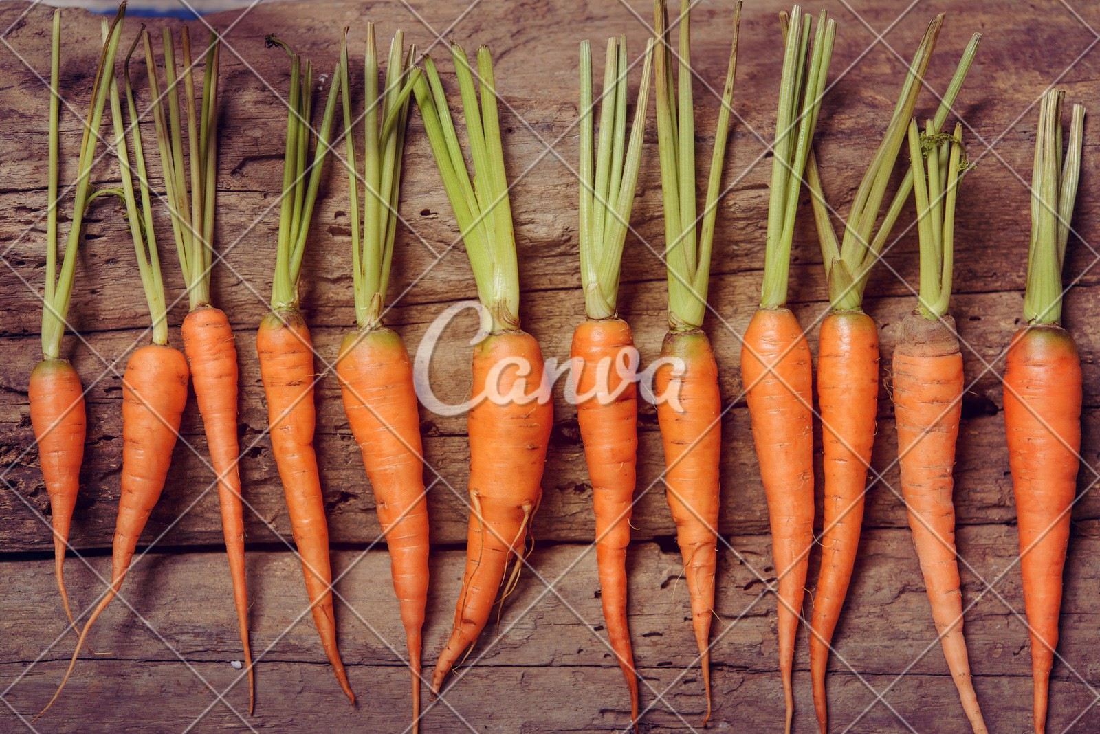 黔西南州2025年中考志愿填报补充须知